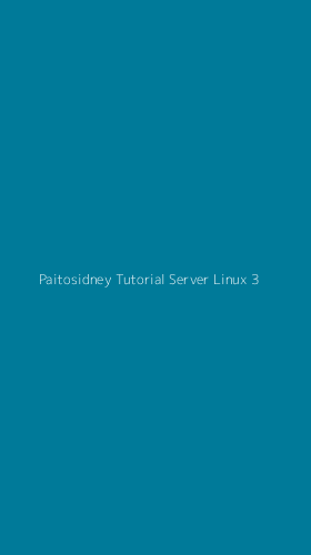 Tampilan Antarmuka Aplikasi Paitosidney Tutorial Server Linux - 3