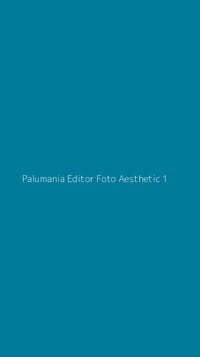 Tampilan Antarmuka Aplikasi Palumania Editor Foto Aesthetic - 1