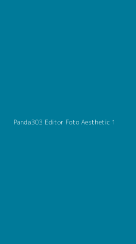 Tampilan Antarmuka Aplikasi Panda303 Editor Foto Aesthetic - 1