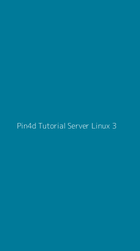 Tampilan Antarmuka Aplikasi Pin4d Tutorial Server Linux - 3