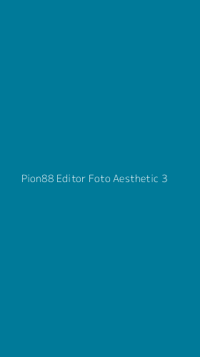 Tampilan Antarmuka Aplikasi Pion88 Editor Foto Aesthetic - 3