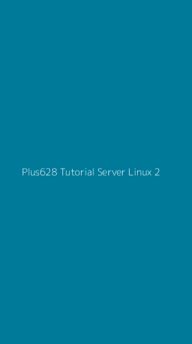 Tampilan Antarmuka Aplikasi Plus628 Tutorial Server Linux - 2