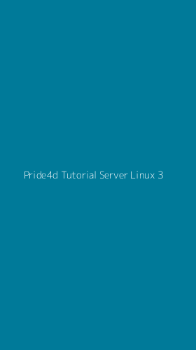Tampilan Antarmuka Aplikasi Pride4d Tutorial Server Linux - 3