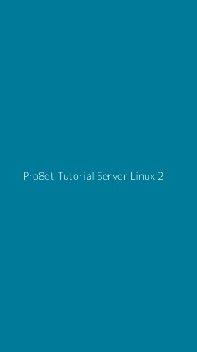 Tampilan Antarmuka Aplikasi Pro8et Tutorial Server Linux - 2
