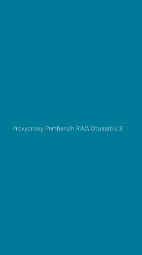 Tampilan Antarmuka Aplikasi Proxycroxy Pembersih Ram Otomatis - 3