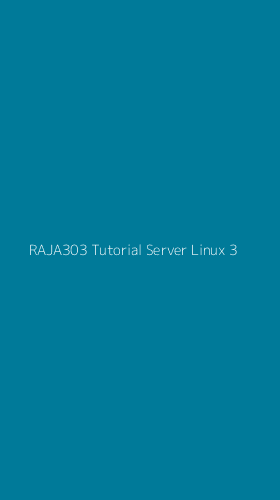Tampilan Antarmuka Aplikasi Raja303 Tutorial Server Linux - 3