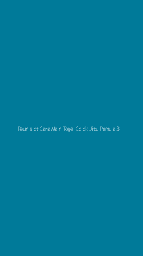Tampilan Antarmuka Aplikasi Reunislot Cara Main Togel Colok Jitu Pemula - 3