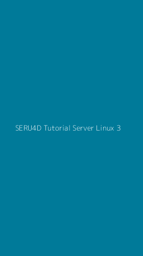 Tampilan Antarmuka Aplikasi Seru4d Tutorial Server Linux - 3