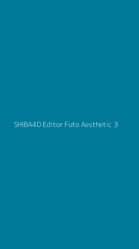 Tampilan Antarmuka Aplikasi Shiba4d Editor Foto Aesthetic - 3