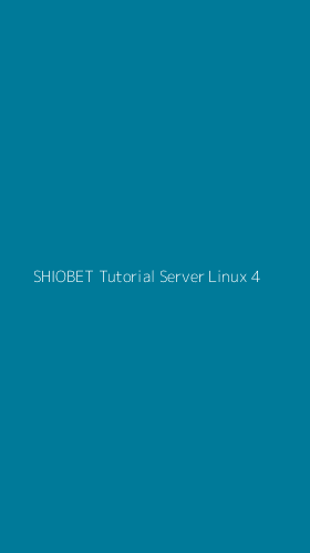 Tampilan Antarmuka Aplikasi Shiobet Tutorial Server Linux - 4