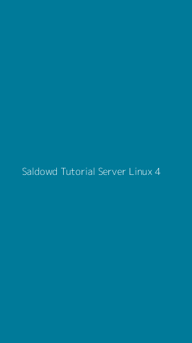 Tampilan Antarmuka Aplikasi Saldowd Tutorial Server Linux - 4