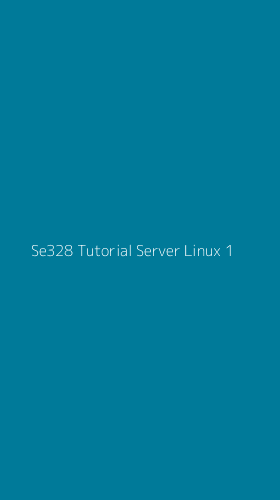 Tampilan Antarmuka Aplikasi Se328 Tutorial Server Linux - 1