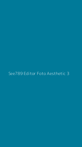 Tampilan Antarmuka Aplikasi See789 Editor Foto Aesthetic - 3