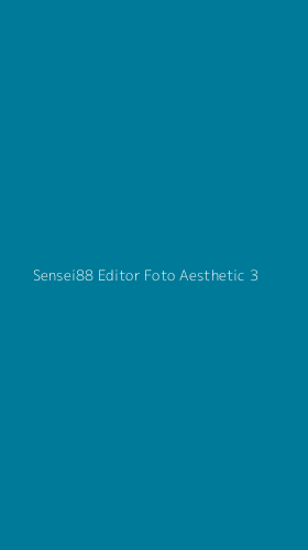 Tampilan Antarmuka Aplikasi Sensei88 Editor Foto Aesthetic - 3