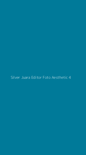 Tampilan Antarmuka Aplikasi Silver Juara Editor Foto Aesthetic - 4