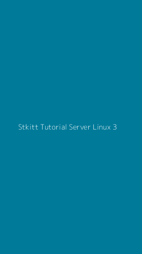 Tampilan Antarmuka Aplikasi Stkitt Tutorial Server Linux - 3
