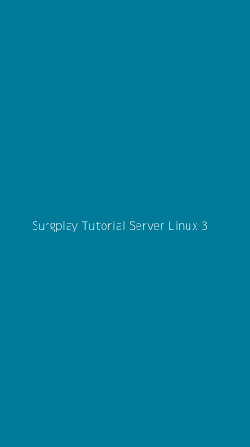 Tampilan Antarmuka Aplikasi Surgplay Tutorial Server Linux - 3