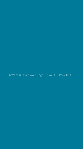 Tampilan Antarmuka Aplikasi Tamuslot Cara Main Togel Colok Jitu Pemula - 3