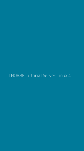 Tampilan Antarmuka Aplikasi Thor88 Tutorial Server Linux - 4