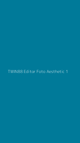 Tampilan Antarmuka Aplikasi Twin88 Editor Foto Aesthetic - 1