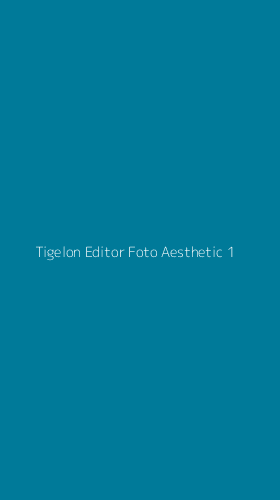 Tampilan Antarmuka Aplikasi Tigelon Editor Foto Aesthetic - 1
