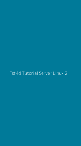 Tampilan Antarmuka Aplikasi Tst4d Tutorial Server Linux - 2