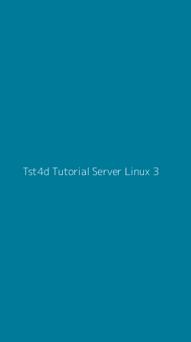 Tampilan Antarmuka Aplikasi Tst4d Tutorial Server Linux - 3