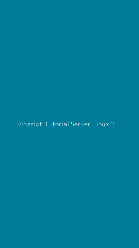 Tampilan Antarmuka Aplikasi Vinaslot Tutorial Server Linux - 3