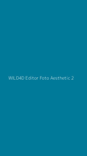 Tampilan Antarmuka Aplikasi Wild4d Editor Foto Aesthetic - 2