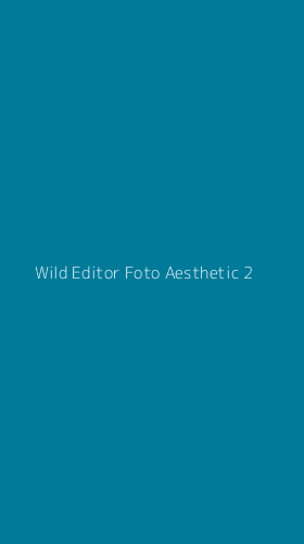 Tampilan Antarmuka Aplikasi Wild Editor Foto Aesthetic - 2