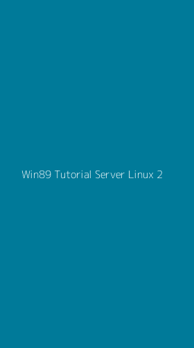 Tampilan Antarmuka Aplikasi Win89 Tutorial Server Linux - 2