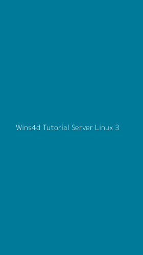 Tampilan Antarmuka Aplikasi Wins4d Tutorial Server Linux - 3