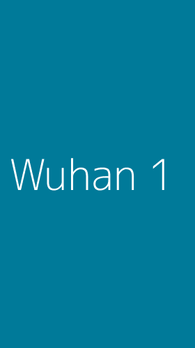 Tampilan Antarmuka Aplikasi Wuhan - 1