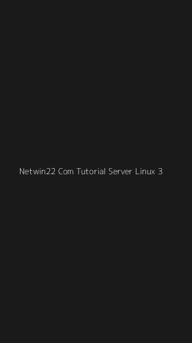 Tampilan Antarmuka Aplikasi Netwin22 Com Tutorial Server Linux - 3