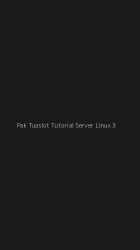 Tampilan Antarmuka Aplikasi Pak Tuaslot Tutorial Server Linux - 3