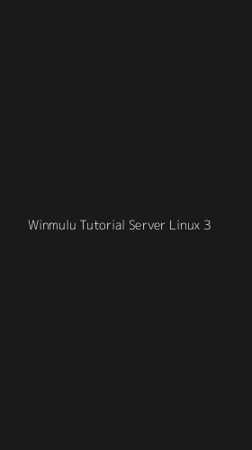 Tampilan Antarmuka Aplikasi Winmulu Tutorial Server Linux - 3