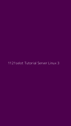 Tampilan Antarmuka Aplikasi 1121selot Tutorial Server Linux - 3