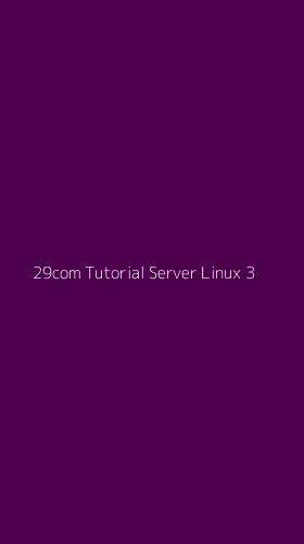 Tampilan Antarmuka Aplikasi 29com Tutorial Server Linux - 3
