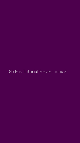 Tampilan Antarmuka Aplikasi 86 Bos Tutorial Server Linux - 3