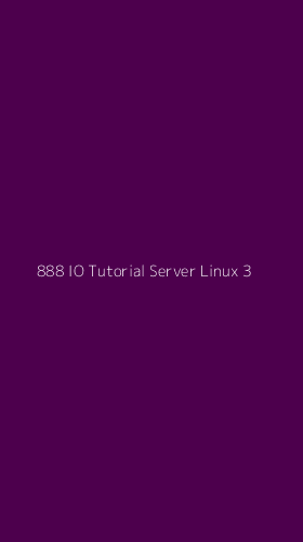 Tampilan Antarmuka Aplikasi 888 Io Tutorial Server Linux - 3