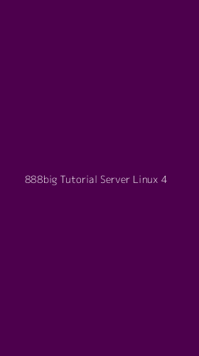 Tampilan Antarmuka Aplikasi 888big Tutorial Server Linux - 4