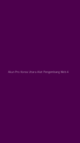Tampilan Antarmuka Aplikasi Akun Pro Korea Utara Alat Pengembang Web - 4