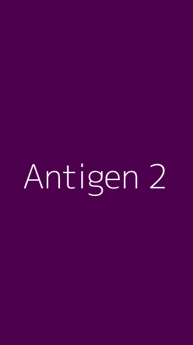 Tampilan Antarmuka Aplikasi Antigen - 2