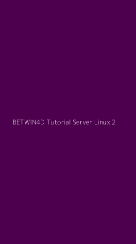 Tampilan Antarmuka Aplikasi Betwin4d Tutorial Server Linux - 2