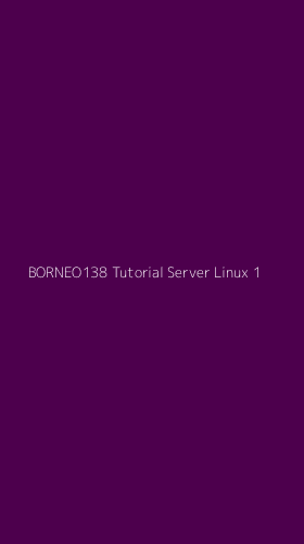 Tampilan Antarmuka Aplikasi Borneo138 Tutorial Server Linux - 1