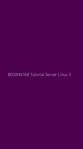 Tampilan Antarmuka Aplikasi Boswin168 Tutorial Server Linux - 3
