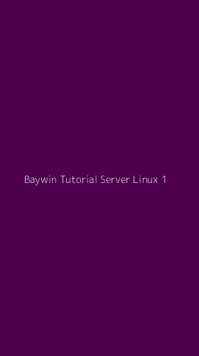 Tampilan Antarmuka Aplikasi Baywin Tutorial Server Linux - 1