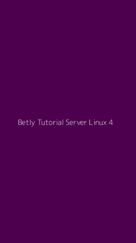 Tampilan Antarmuka Aplikasi Betly Tutorial Server Linux - 4
