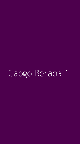 Tampilan Antarmuka Aplikasi Capgo Berapa - 1