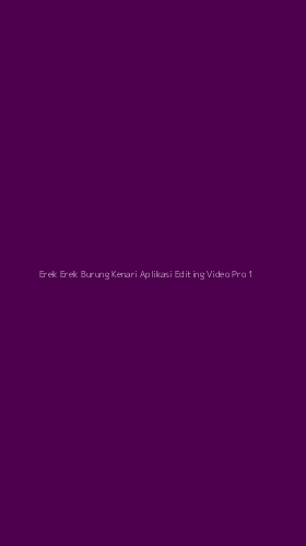 Tampilan Antarmuka Aplikasi Erek Erek Burung Kenari Aplikasi Editing Video Pro - 1